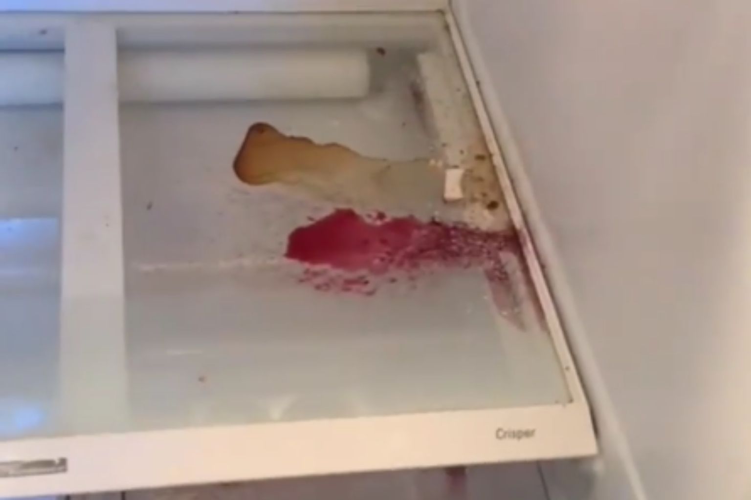 The Forgotten Appliance A West Chester Kitchen Refrigerator Transformation