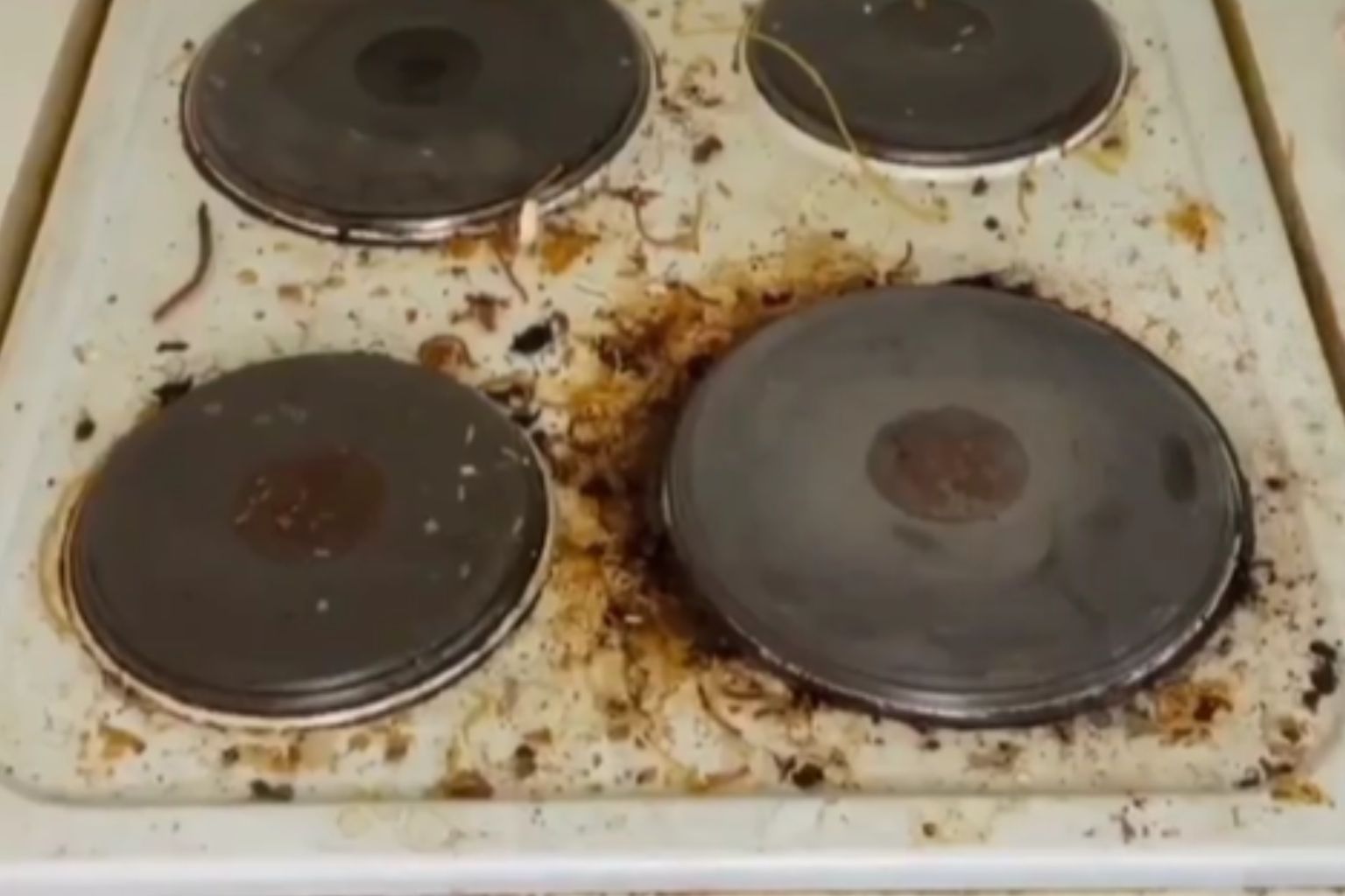 Deep Cleaning in Ambler, PA Kitchen Hob Before